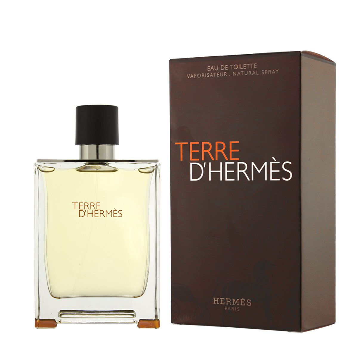 HERMES TERRE D’HERMES HOMME EDT 100ML 